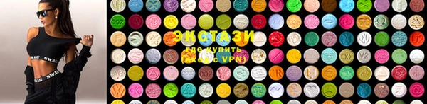 ECSTASY Богородицк