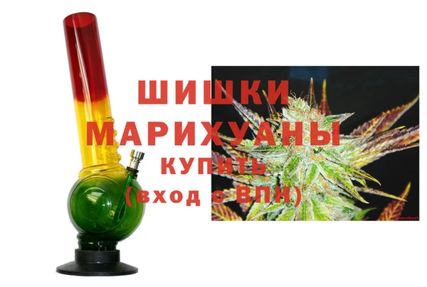 МДПВ Богородск