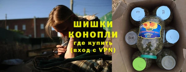 МДПВ Богородск