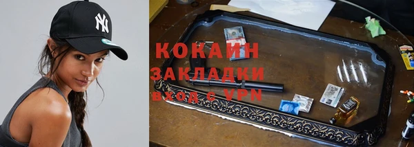 МДПВ Богородск