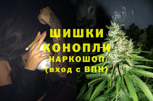 МДПВ Богородск