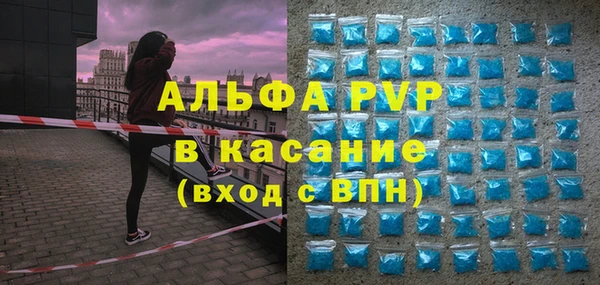 прущий лед Богданович