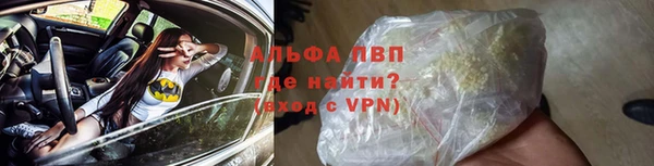 ECSTASY Богородицк