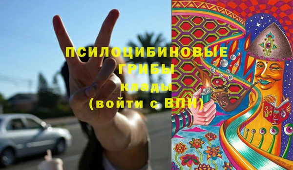 МДПВ Богородск