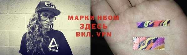 прущий лед Богданович