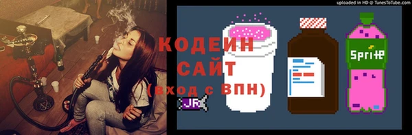 прущий лед Богданович