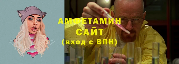 ECSTASY Богородицк