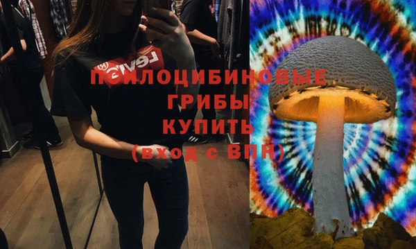 прущий лед Богданович
