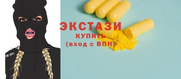 ECSTASY Богородицк