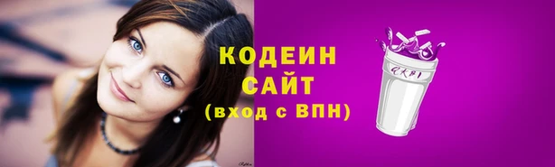 прущий лед Богданович
