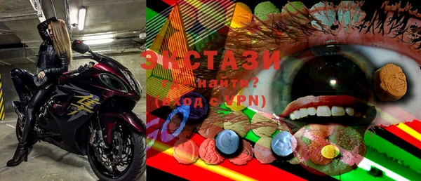 ECSTASY Богородицк
