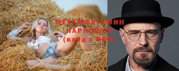 прущий лед Богданович
