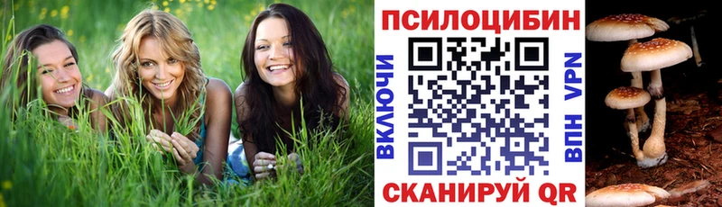 Псилоцибиновые грибы прущие грибы  где купить   Клинцы 